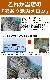 2025ǯͽۥ̳ƻ 4kg24 Τ 櫓 ͭ ڤϤԲ̵ 2025ǯ7庢ꤴʸȯۡڶ̿Բġ