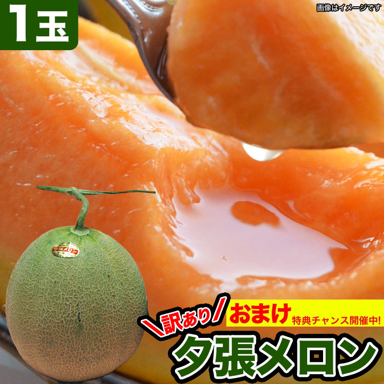 ��2026ǯ����ͽ���ͼĥ����� ������ 1�� ��1.3kg�Υ���� �̳�ƻ�� ����� ���� �櫓���� ��ͭ�ϡ�2����ʸ��+1�̥��ޥ��ۡڤ��Ϥ��������Բ�̵���� ��2026ǯ7�����庢��ꤴ��ʸ���ȯ����