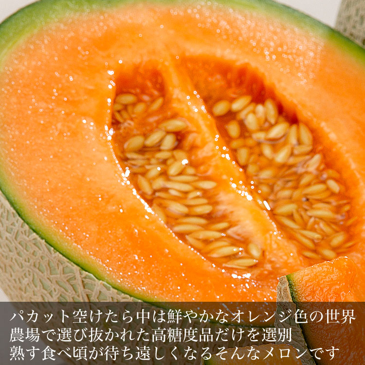 ��2026ǯ����ͽ���ͼĥ����� ������ 1�� ��1.3kg�Υ���� �̳�ƻ�� ����� ���� �櫓���� ��ͭ�ϡ�2����ʸ��+1�̥��ޥ��ۡڤ��Ϥ��������Բ�̵���� ��2026ǯ7�����庢��ꤴ��ʸ���ȯ����