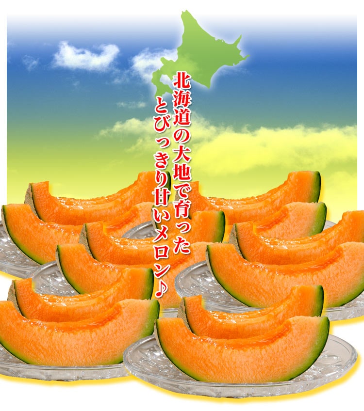 ��2026ǯ����ͽ���ͼĥ����� ������ 1�� ��1.3kg�Υ���� �̳�ƻ�� ����� ���� �櫓���� ��ͭ�ϡ�2����ʸ��+1�̥��ޥ��ۡڤ��Ϥ��������Բ�̵���� ��2026ǯ7�����庢��ꤴ��ʸ���ȯ����