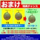 ��2026ǯ����ͽ���ͼĥ����� ������ 1�� ��1.3kg�Υ���� �̳�ƻ�� ����� ���� �櫓���� ��ͭ�ϡ�2����ʸ��+1�̥��ޥ��ۡڤ��Ϥ��������Բ�̵���� ��2026ǯ7�����庢��ꤴ��ʸ���ȯ����