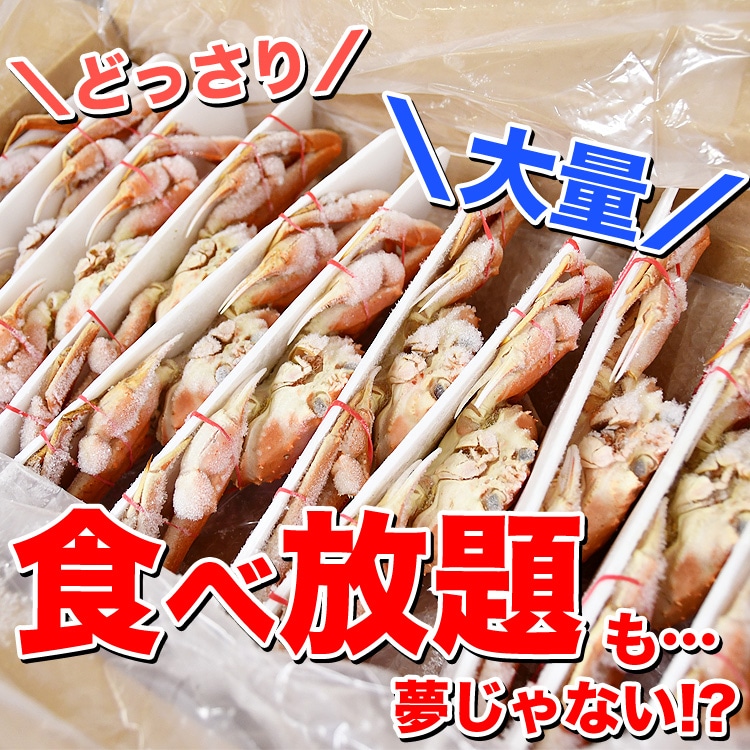 �ں߸˸¤꡿�������2���ޤǡ��̳�ƻ�� ���� ���磻����  �� 12��14����(���������Բ�)���4kg���� �������磻���� ���� �� ���� �ѡ��ƥ����ڤΤ��Բġ�