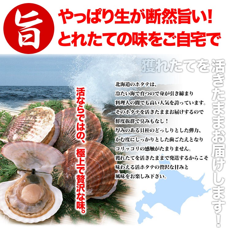 12ܤ缡ȯۥ  դ 2kg (79) ̳ƻ Ω ۤ ɿ  Ч ʡڤϤԲ̵ۡڥ󥻥Բġۡ12ܰʹߤϤʸ13Ǽͼв١ۡĹԺ߼ա