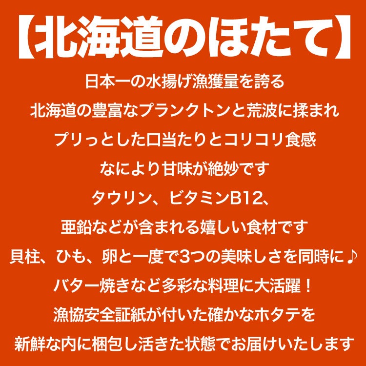 12ܤ缡ȯۥ  դ 2kg (79) ̳ƻ Ω ۤ ɿ  Ч ʡڤϤԲ̵ۡڥ󥻥Բġۡ12ܰʹߤϤʸ13Ǽͼв١ۡĹԺ߼ա