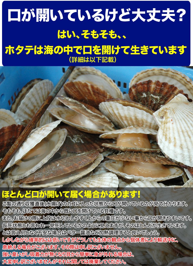 12ܤ缡ȯۥ  դ 2kg (79) ̳ƻ Ω ۤ ɿ  Ч ʡڤϤԲ̵ۡڥ󥻥Բġۡ12ܰʹߤϤʸ13Ǽͼв١ۡĹԺ߼ա