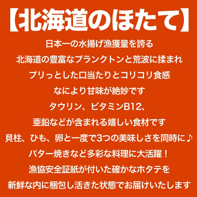 12ܤ缡ȯۥ  դ 4kg (1418) ̳ƻ Ω ۤ ɿ  Ч ʡڤϤԲ̵ۡڥ󥻥Բġۡ12ܰʹߤϤʸ13Ǽͼв١ۡĹԺ߼ա