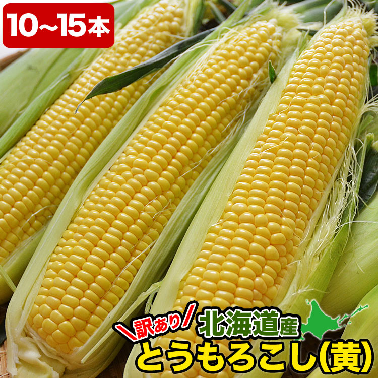 ��2026ǯ����ͽ��ۤȤ�������� ��γ�������� 10��15�����塡���̳�ƻ�� �Ȥ����� �櫓���� ��ͭ�� �ڤ��Ϥ��������Բ�̵���� ��2026ǯ8������庢��ꤴ��ʸ���ȯ����