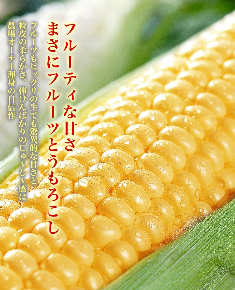 ��2026ǯ����ͽ��ۤȤ�������� ��γ�������� 20��30���塡���̳�ƻ�� �Ȥ����� �櫓���� ��ͭ�� �ڤ��Ϥ��������Բ�̵���� ��2026ǯ8������庢��ꤴ��ʸ���ȯ����