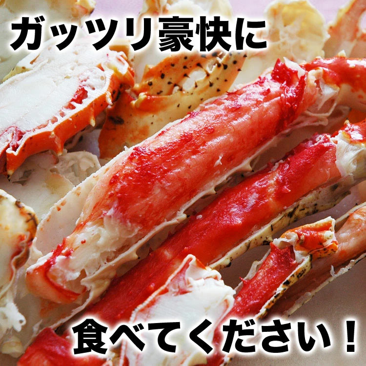 Х ܥ ϡեå  800g  ݡ ӡɥ    å  ­    