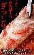 ĶĶӥ 1kg 2å ̳ƻ  ̣  Ӥ     ޵Ӥ礬ޤ