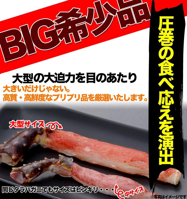 ����Х��� �� ������ ������ 2kg ����(1kg 10��15�������2��) �ݡ������ ���� ���� ���å� �� ­ ����� ����� ���� �� ������ ���˥���� ���ˤ����