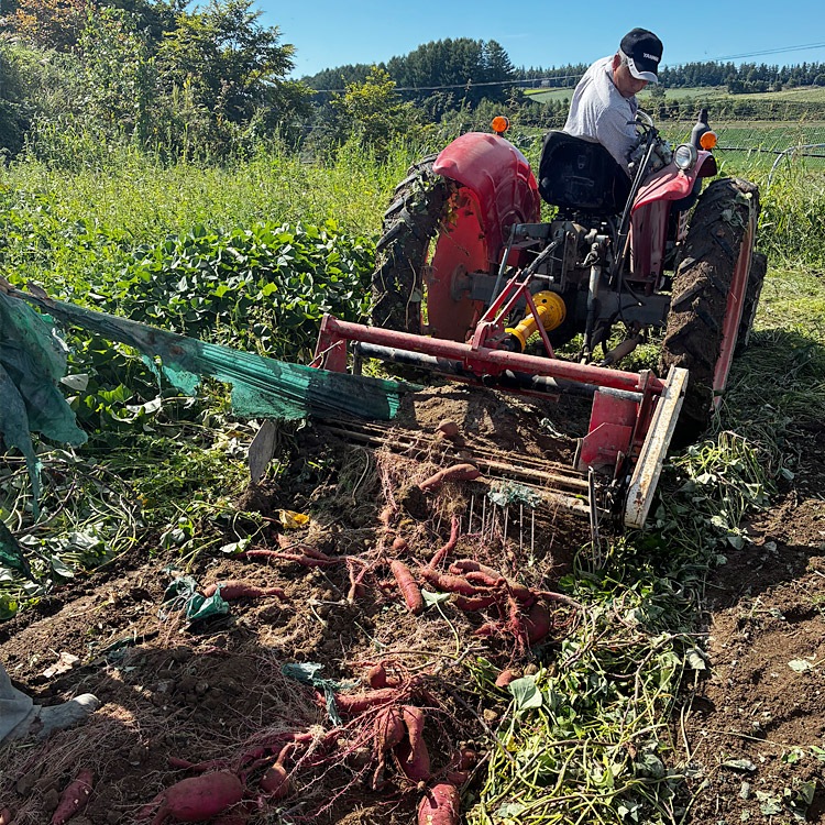 ��2026ǯ3����缡�в١� ���륯�������� ��4kg ������ �̳�ƻ�� ��·�� ���Ĥޤ��� ���ĥޥ��� ��