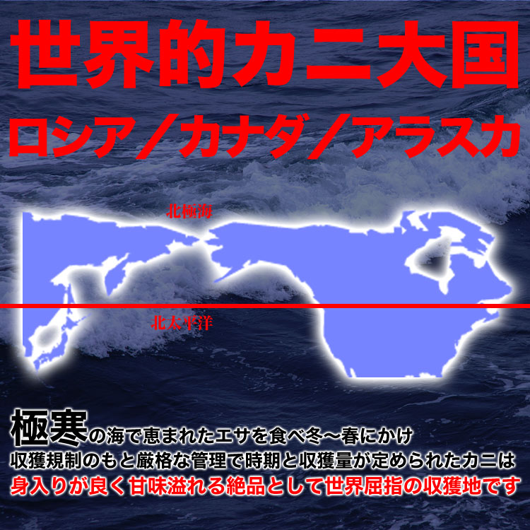 糪ӥåȡ Х˵  800g  磻˵  1kg   1.8kg  å  磻  襤     ޵Ӥ礬ޤ