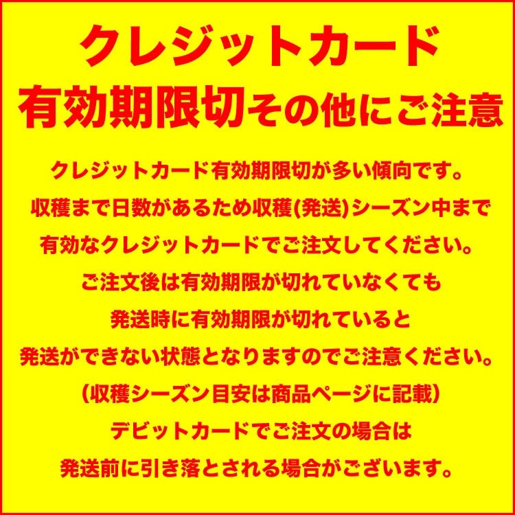 ��2026ǯ3����缡�в١� ���륯�������� ��8kg ������ �̳�ƻ�� ��·�� ���Ĥޤ��� ���ĥޥ��� ��