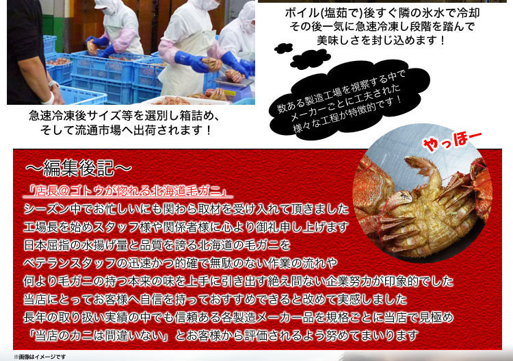 年末年始指定ok 超 特大 ジャンボ 毛ガニ 800g前後 2尾 北海道産 国産 カニ味噌 毛蟹 ボイル みそ かに カニ 蟹 毛がに Kegani けがに Kani Crab 堅 プレミアム ゴールドラベル かに 毛ガニ カニ通販お取り寄せギフトお歳暮マルゲン後藤水産本店