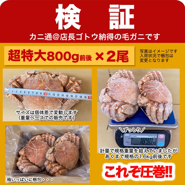 Ķӥ 800g 2å ̳ƻ  ̣  Ӥ     ޵Ӥ礬ޤ