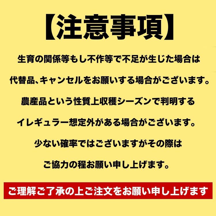 ��2026ǯ����ͽ���ͼĥ����� ���� 2�̤���2.6kg��1�̤�������1.3kg�� �ζ��� ����� �̳�ƻ�� ����� ������ �ڤ��Ϥ��������Բ�̵���� ��2026ǯ7�����庢��ꤴ��ʸ���ȯ����