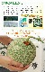 ��2026ǯ����ͽ���ͼĥ����� ���� 2�̤���2.6kg��1�̤�������1.3kg�� �ζ��� ����� �̳�ƻ�� ����� ������ �ڤ��Ϥ��������Բ�̵���� ��2026ǯ7�����庢��ꤴ��ʸ���ȯ����