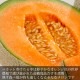 ��2026ǯ����ͽ���ͼĥ����� ���� 2�̤���2.6kg��1�̤�������1.3kg�� �ζ��� ����� �̳�ƻ�� ����� ������ �ڤ��Ϥ��������Բ�̵���� ��2026ǯ7�����庢��ꤴ��ʸ���ȯ����