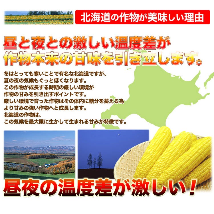 ��2026ǯ����ͽ��ۤȤ�������� ��γ L��2L��6�� ���̳�ƻ�� �Ȥ����ӡ� �ڤ��Ϥ��������Բ�̵���� ��2026ǯ8������庢��ꤴ��ʸ���ȯ����