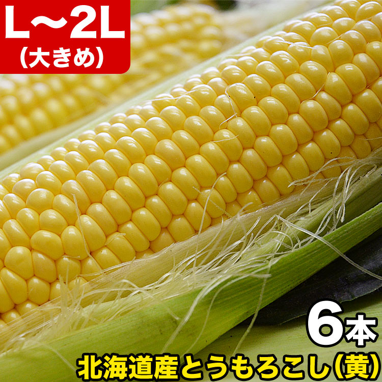 ��2026ǯ����ͽ��ۤȤ�������� ��γ L��2L��6�� ���̳�ƻ�� �Ȥ����ӡ� �ڤ��Ϥ��������Բ�̵���� ��2026ǯ8������庢��ꤴ��ʸ���ȯ����