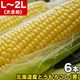 ��2026ǯ����ͽ��ۤȤ�������� ��γ L��2L��6�� ���̳�ƻ�� �Ȥ����ӡ� �ڤ��Ϥ��������Բ�̵���� ��2026ǯ8������庢��ꤴ��ʸ���ȯ����