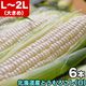 ��2026ǯ����ͽ��ۤȤ�������� ��γ L��2L��6�� ���̳�ƻ�� �Ȥ����ӡ� �ڤ��Ϥ��������Բ�̵���� ��2026ǯ8������庢��ꤴ��ʸ���ȯ����