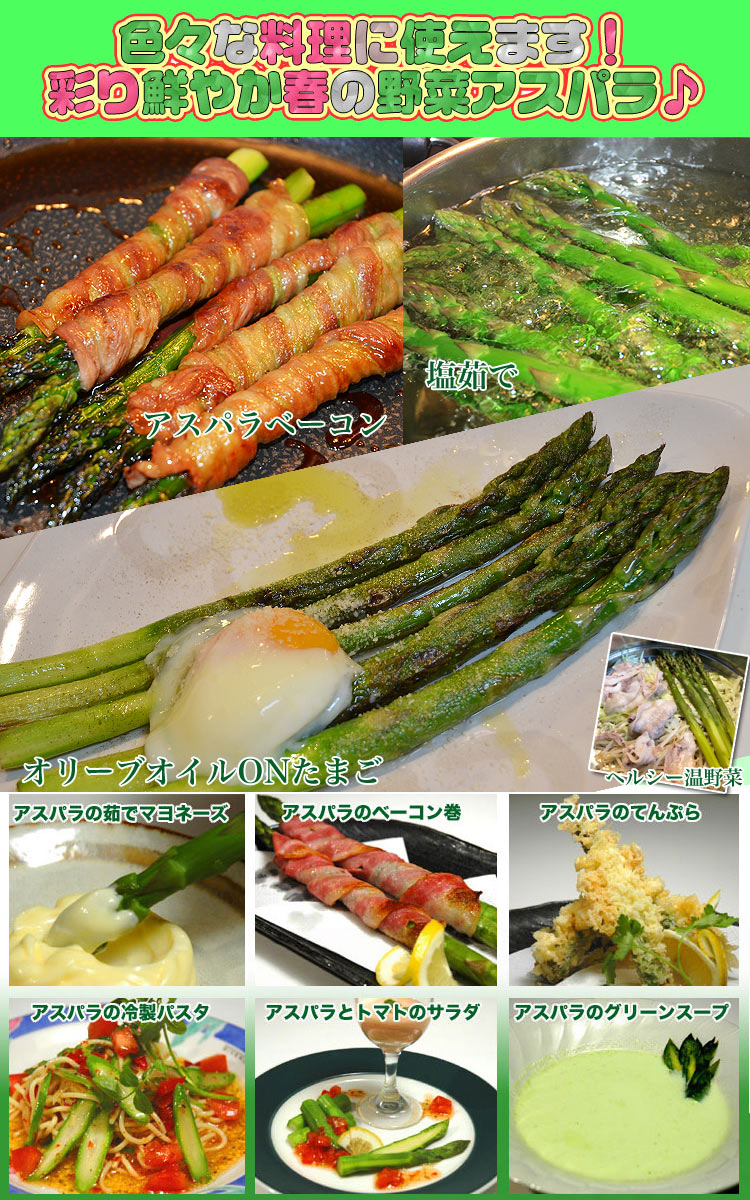 ��2026ǯ����ͽ��ۥ����ѥ� �̳�ƻ�� ������ ��2kg��SS��2L����� �Υ��꡼�� �����Ѥ� �櫓���� ��ͭ�� �ڤ��Ϥ��������Բ�̵���� ��2026ǯ5������庢��ꤴ��ʸ���ȯ����