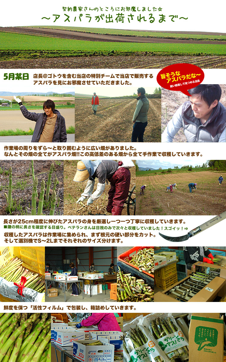 ��2026ǯ����ͽ��ۥ����ѥ� �̳�ƻ�� ������ ��2kg��SS��2L����� �Υ��꡼�� �����Ѥ� �櫓���� ��ͭ�� �ڤ��Ϥ��������Բ�̵���� ��2026ǯ5������庢��ꤴ��ʸ���ȯ����