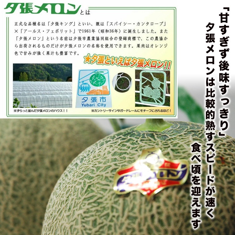 ���������ͼĥ����� ���� 1�� (��1.3kg) �̳�ƻ�� ���� ����� [ ����� ���ե� �ץ쥼��� £��ʪ £�� ����Ȣ ������Ʊ�� ����������� ���� �Τ� ]��2026ǯ 6��10����6��20���δ֤ˤ��Ϥ�ͽ��ۡڼ��ϼ���в٤Τ��ᤪ�Ϥ��������Բġ�