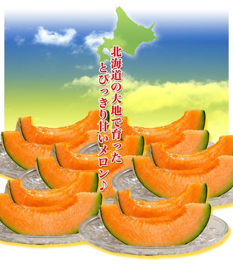 ���������ͼĥ����� ���� 1�� (��1.3kg) �̳�ƻ�� ���� ����� [ ����� ���ե� �ץ쥼��� £��ʪ £�� ����Ȣ ������Ʊ�� ����������� ���� �Τ� ]��2026ǯ 6��10����6��20���δ֤ˤ��Ϥ�ͽ��ۡڼ��ϼ���в٤Τ��ᤪ�Ϥ��������Բġ�