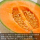 ���������ͼĥ����� ���� 1�� (��1.3kg) �̳�ƻ�� ���� ����� [ ����� ���ե� �ץ쥼��� £��ʪ £�� ����Ȣ ������Ʊ�� ����������� ���� �Τ� ]��2026ǯ 6��10����6��20���δ֤ˤ��Ϥ�ͽ��ۡڼ��ϼ���в٤Τ��ᤪ�Ϥ��������Բġ�