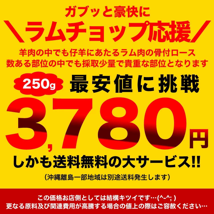 ��� ����å� ���� ������ 250g [ ̣�դ��ʤ� ���󥮥����� ���Ȼ״� ������ ����� ���� ���ӥ� �̳�ƻ ��¤ ���� BBQ �С��٥��塼 ]��2�İʾ夫����ʸ���˱������ޥ��դ���(���κ����礭���˥Х�ĥ�����ޤ�)