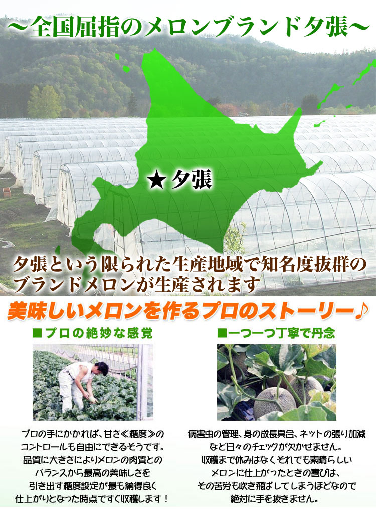 ��2026ǯ����ͽ������� ͼĥ����� ������ 4�̤���8kg��1�̤�������2kg�ˡΥ���� �̳�ƻ�� ����� ���� �櫓���� ��ͭ�ϡڤ��Ϥ��������Բ�̵���� ��2026ǯ7�����庢��ꤴ��ʸ���ȯ����