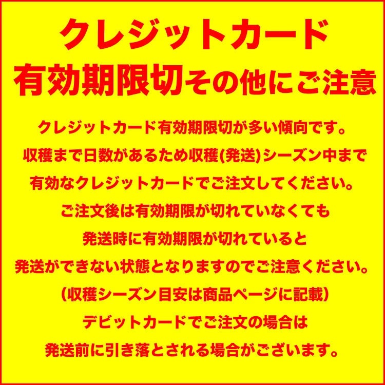 ��2026ǯ����ͽ������� ͼĥ����� ������ 4�̤���8kg��1�̤�������2kg�ˡΥ���� �̳�ƻ�� ����� ���� �櫓���� ��ͭ�ϡڤ��Ϥ��������Բ�̵���� ��2026ǯ7�����庢��ꤴ��ʸ���ȯ����