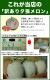 ��2026ǯ����ͽ������� ͼĥ����� ������ 4�̤���8kg��1�̤�������2kg�ˡΥ���� �̳�ƻ�� ����� ���� �櫓���� ��ͭ�ϡڤ��Ϥ��������Բ�̵���� ��2026ǯ7�����庢��ꤴ��ʸ���ȯ����