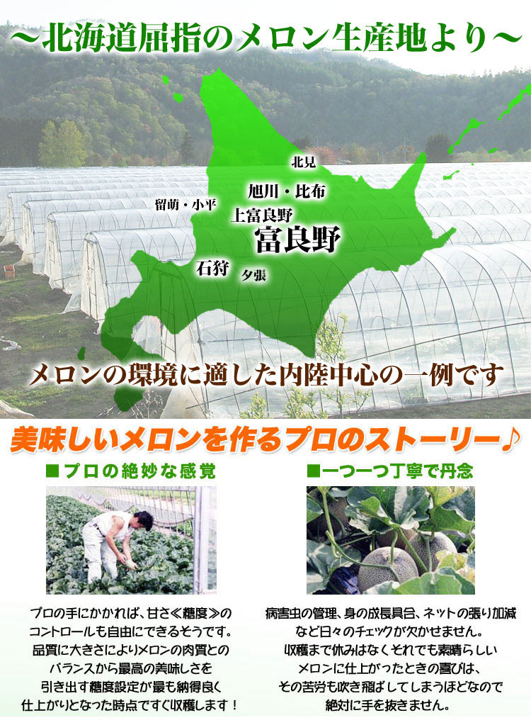 ��2026ǯ����ͽ������� �����������ȥ���� �̳�ƻ�� 2kg�����2�� �Τ����ϡڤ��Ϥ��������Բ�̵���ۡ�2026ǯ7���ܡ���������ꤴ��ʸ���ȯ����