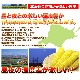 ��2026ǯ����ͽ��ۤȤ�������� ��γ�������� 20��30���塡���̳�ƻ�� �Ȥ����� �櫓���� ��ͭ�� �ڤ��Ϥ��������Բ�̵���� ��2026ǯ8������庢��ꤴ��ʸ���ȯ����