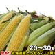 ��2026ǯ����ͽ��ۤȤ�������� ��γ�������� 20��30���塡���̳�ƻ�� �Ȥ����� �櫓���� ��ͭ�� �ڤ��Ϥ��������Բ�̵���� ��2026ǯ8������庢��ꤴ��ʸ���ȯ����