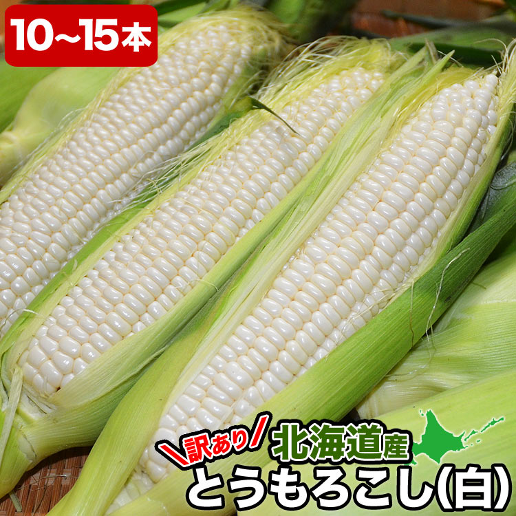 ��2026ǯ����ͽ��ۤȤ�������� ��γ�������� 10��15�����塡���̳�ƻ�� �Ȥ����� �櫓���� ��ͭ�� �ڤ��Ϥ��������Բ�̵���� ��2026ǯ8������庢��ꤴ��ʸ���ȯ����