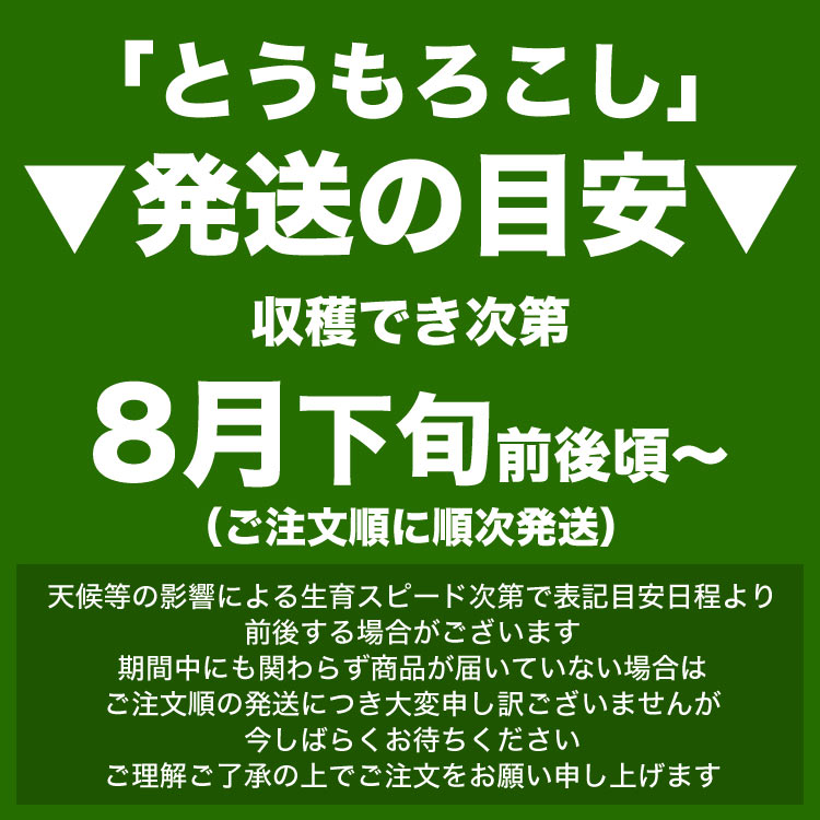 ��2026ǯ����ͽ��ۤȤ�������� ��γ�������� 10��15�����塡���̳�ƻ�� �Ȥ����� �櫓���� ��ͭ�� �ڤ��Ϥ��������Բ�̵���� ��2026ǯ8������庢��ꤴ��ʸ���ȯ����