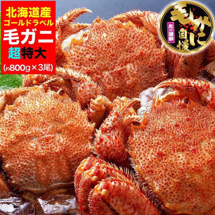 �ں߸˸¤�ǰ��ͤ�ĩ��ۡ�Ķ������ӥ��� 800g �����3�����å� �̳�ƻ�� �� ̣�� ������ �Ӥ��� ���� �� ���� �� �޵Ӥ����������礬����ޤ�