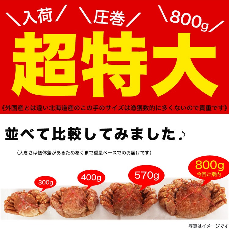 �ں߸˸¤�ǰ��ͤ�ĩ��ۡ�Ķ������ӥ��� 800g �����3�����å� �̳�ƻ�� �� ̣�� ������ �Ӥ��� ���� �� ���� �� �޵Ӥ����������礬����ޤ�
