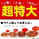 �ں߸˸¤�ǰ��ͤ�ĩ��ۡ�Ķ������ӥ��� 800g �����3�����å� �̳�ƻ�� �� ̣�� ������ �Ӥ��� ���� �� ���� �� �޵Ӥ����������礬����ޤ�