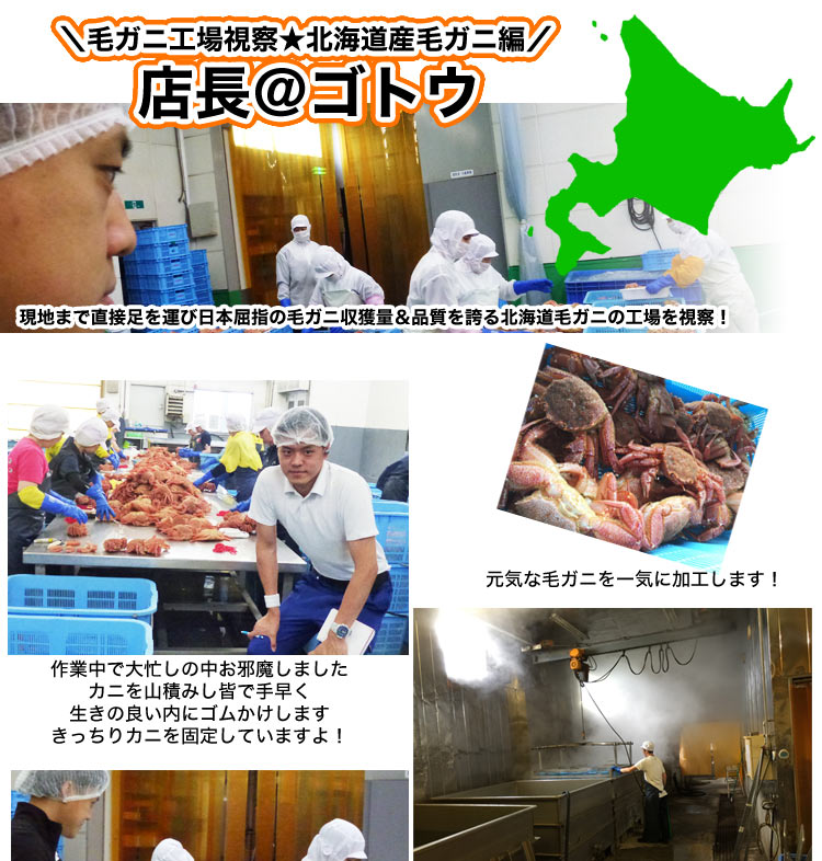 Ķӥ 800g  ̳ƻ  ̣  Ӥ     ޵Ӥ礬ޤ