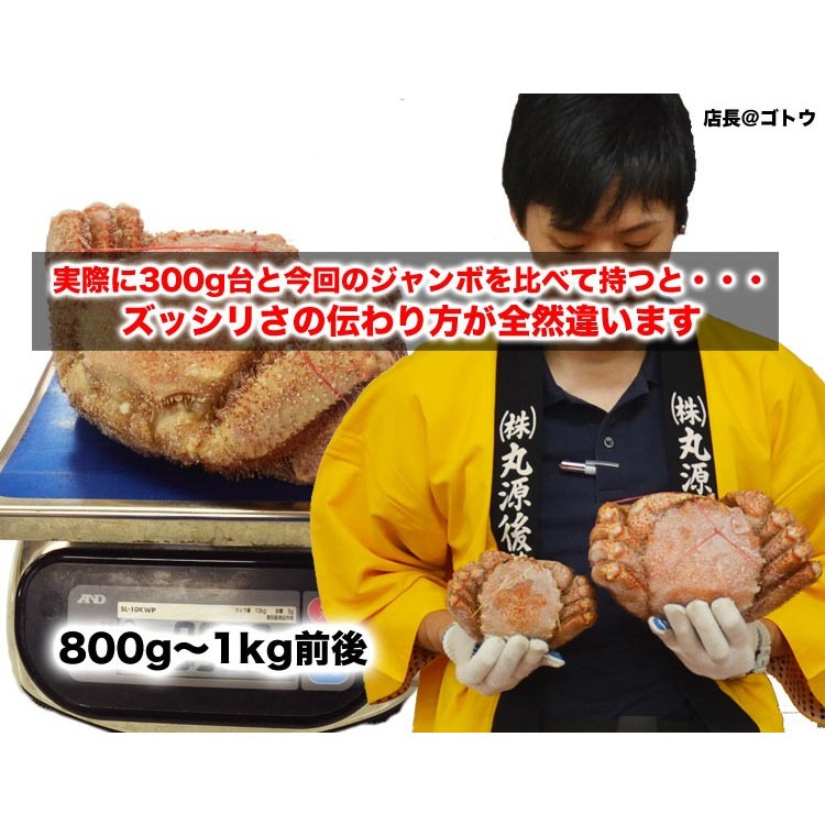 Ķӥ 800g  ̳ƻ  ̣  Ӥ     ޵Ӥ礬ޤ