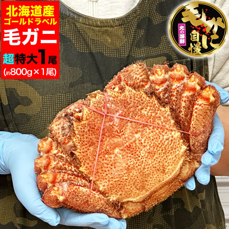 Ķӥ 800g  ̳ƻ  ̣  Ӥ     ޵Ӥ礬ޤ