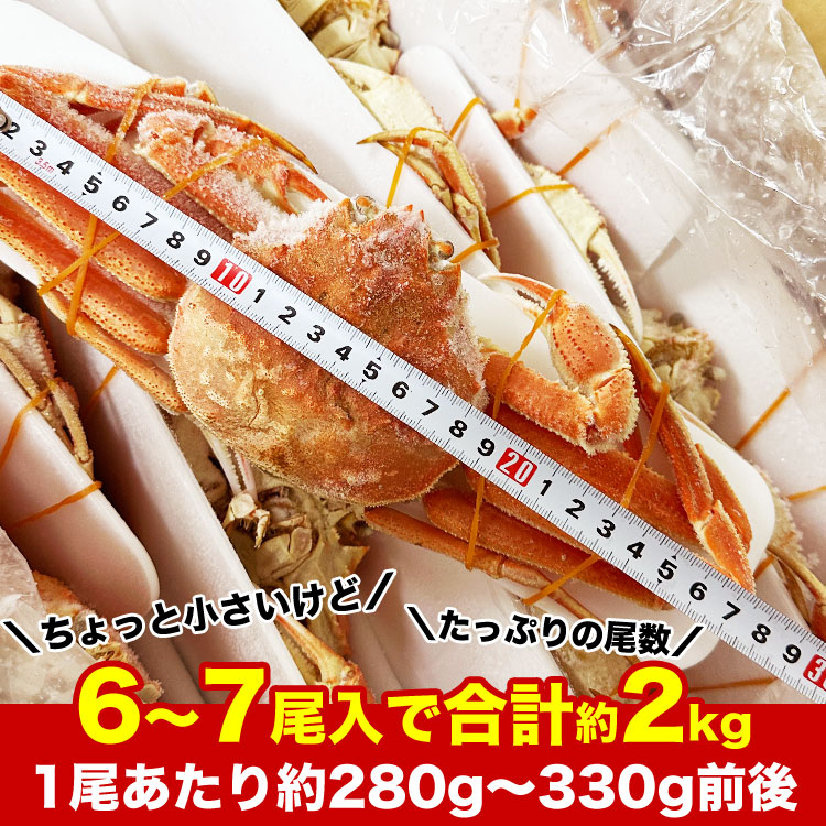 �ں߸˸¤꡿�������2���ޤǡ��̳�ƻ�� ���� ���磻����  �� 6��7��������2kg���� (1����������280��330g) �������磻���� ���� �� ���� �ѡ��ƥ����ڤΤ��Բġ�