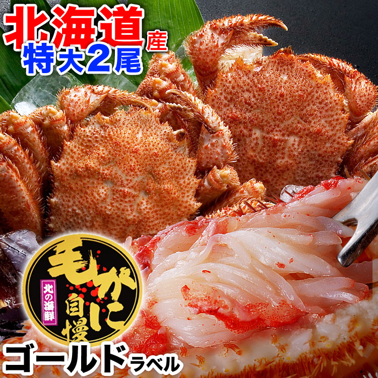 �ں߸˸¤�ǰ��ͤ�ĩ��ۡ�������ӥ��� 570g �����2�����å� �̳�ƻ�� �� ̣�� ������ �Ӥ��� ���� �� ���� �� �޵Ӥ����������礬����ޤ�