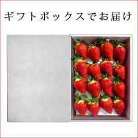 4月、5月お届けいちご 山形県産 おとめ心 大粒15-16粒入ギフト箱入【クール便】子供の日に母の日に|おとめ心|くだもの